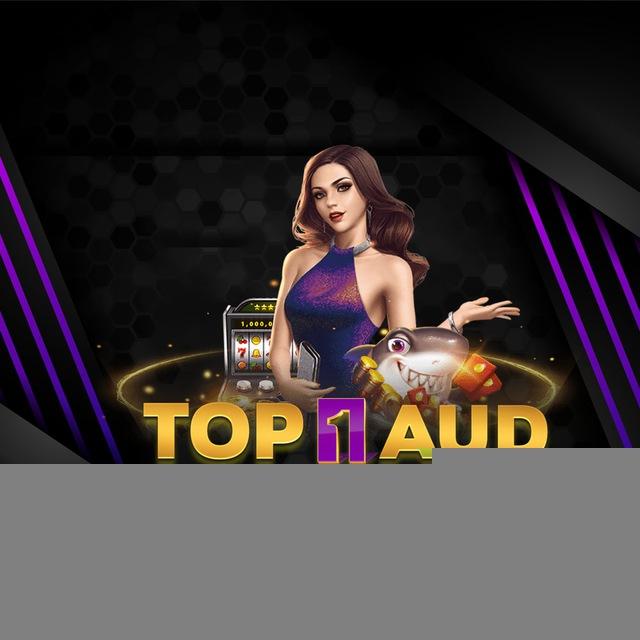 Top1aud