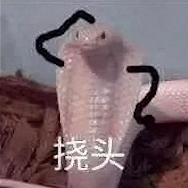 牛九结账小频道