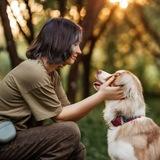 ✨Логово комфортных🐾