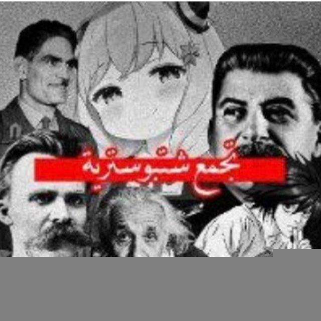 تجمع شتبوست ميمز