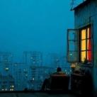 مستاجر پلاک ١٢