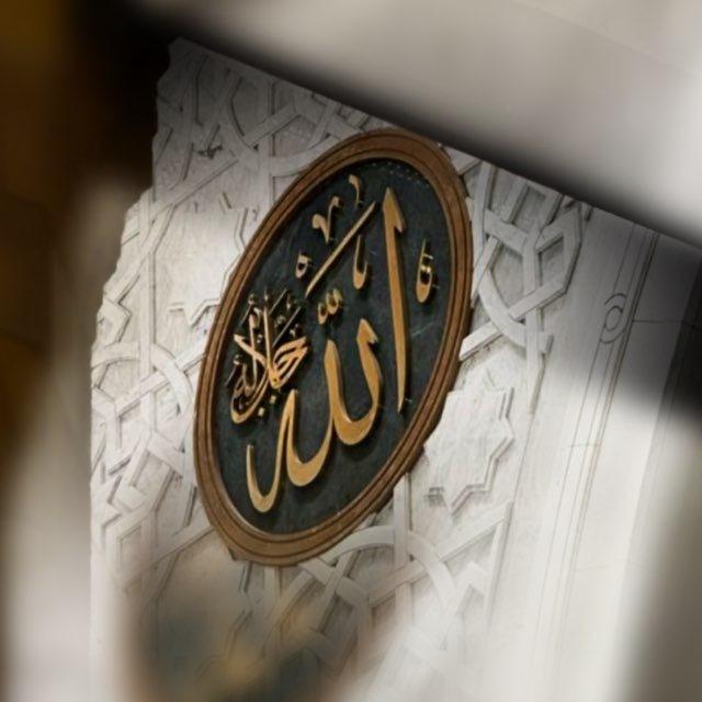 باسِــــقـــات