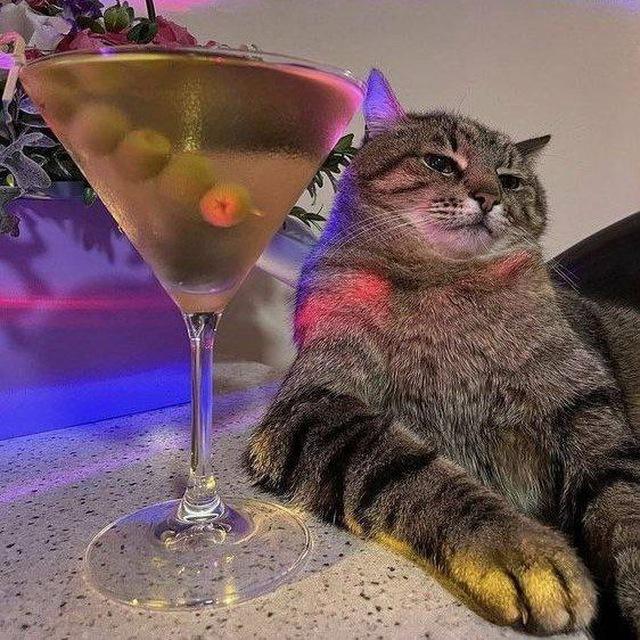 𝓠𝓻𝓾𝔃 𝓝𝓸𝓽🥂