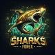 Sharks Forex