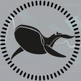 BULLSTAR - CRYPTO NEWS