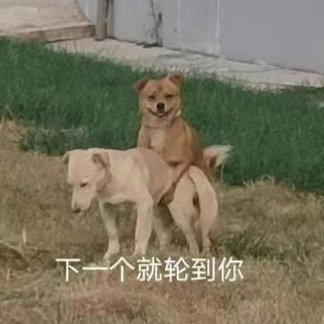 仲恺黑车榜