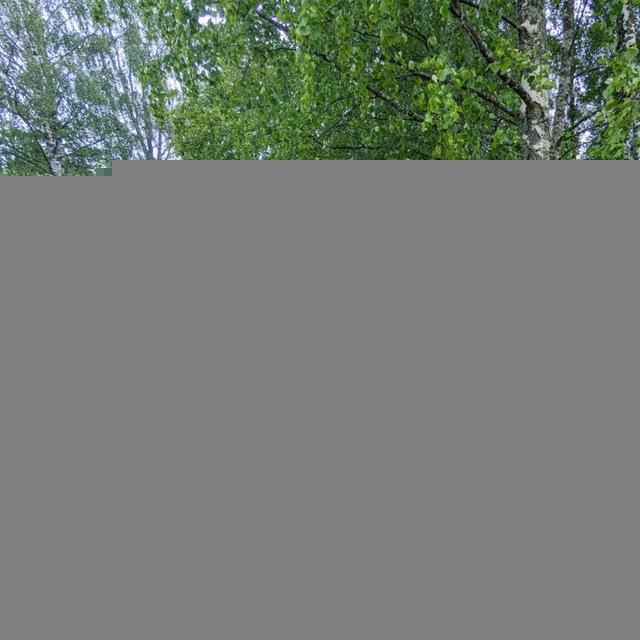 Отдых в Карелии! | Кижи, Рыбалка, Экскурсии!