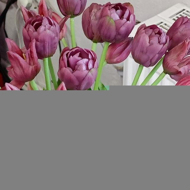 🩷♬•Эстетика•♫🩷