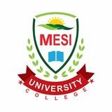 MESI University
