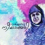 നഷ്ട്ടപ്പെട്ട നീലാംബരി