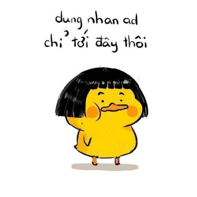Soi Kèo Pro