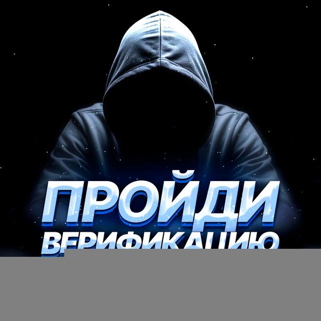 Отзывы