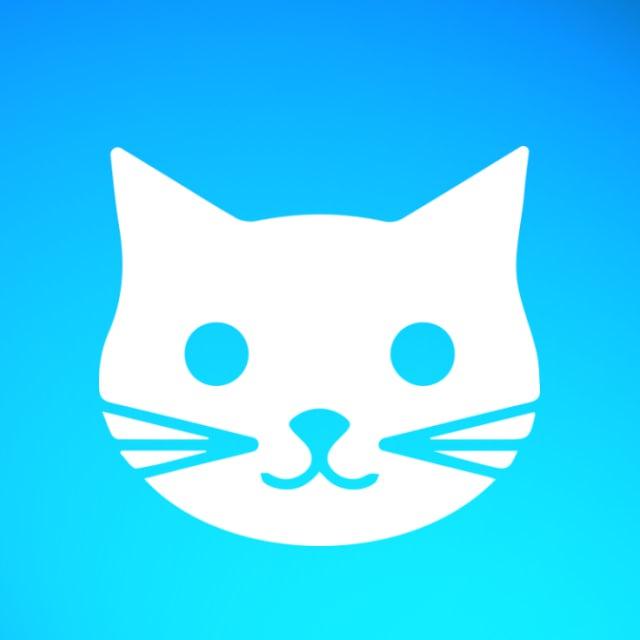 Котизмъ