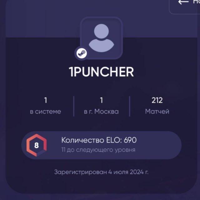 1PUNCHER G БАРХАТ