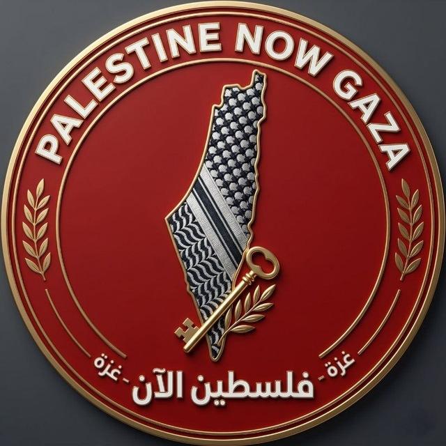 فلسطين الان🔻