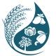គម្រោងគជ់ - PEARL Project