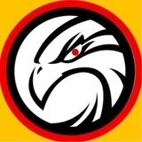 الشاهين 🦅