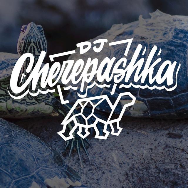 dj cherepashka