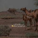 ﺎﻟوڪاﺎد𓍼١³