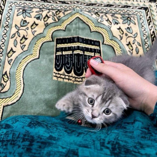 آية مِن القرآن ❣️