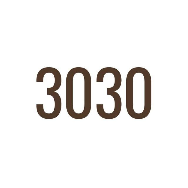 Объект 3030