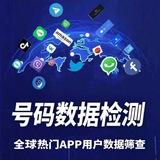 全球真实号码检测