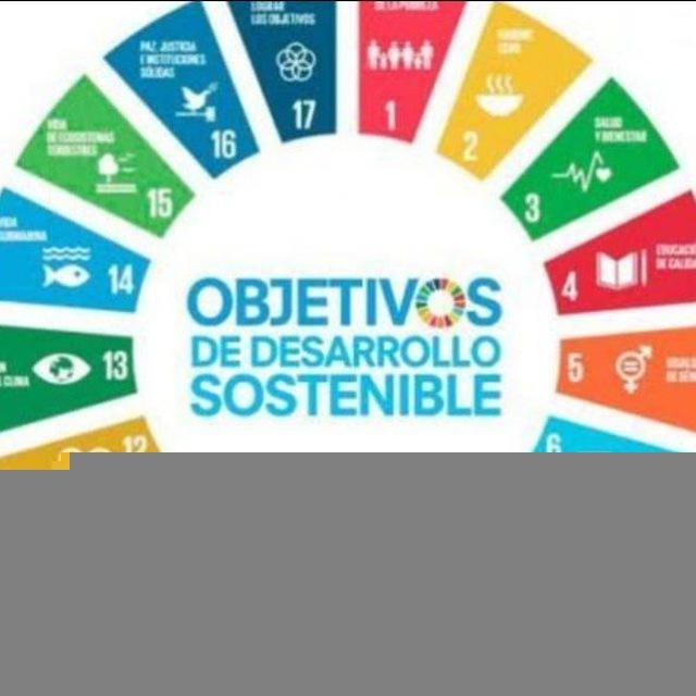 FORO ECONÓMICO MUNDIAL🌎FORO DE DAVOS🌎AGENDA 2030🌎ONU/ FORO ECONÓMICO MUNDIAL/ AGENDA 2030