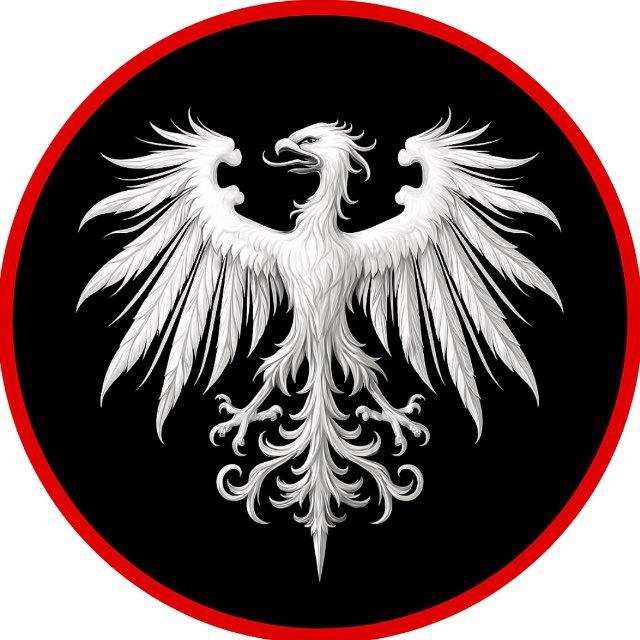 История человечества
