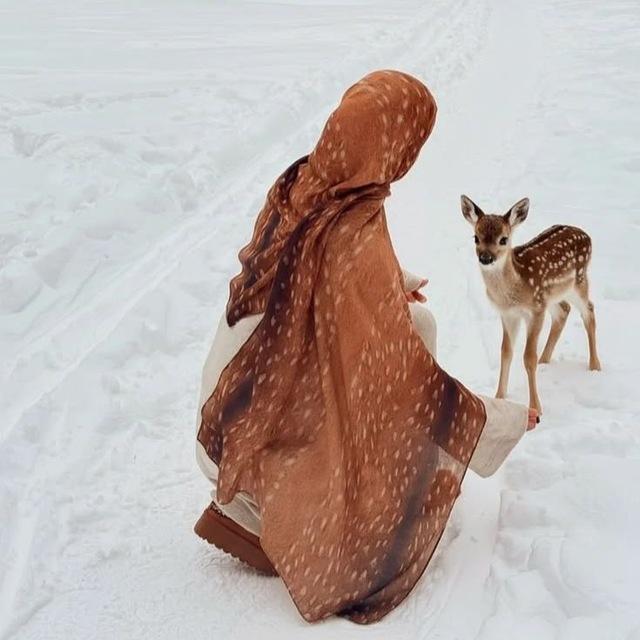 اقتباسـات غــزالـة 🦌💗. ⇣