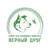 Чат приюта "Верный Друг"🐕🐈‍⬛️