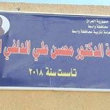 ثانوية د.محسن علي الدلفي