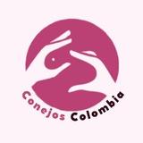 CONEJOS COLOMBIA