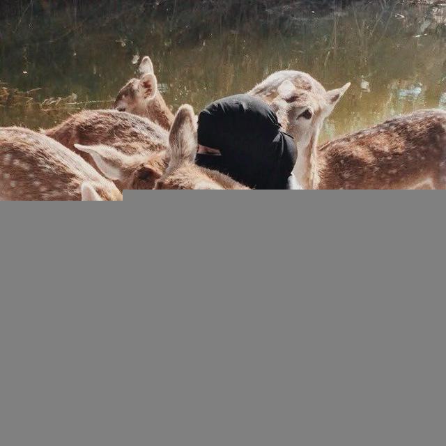 مـــهرة🖤🐎