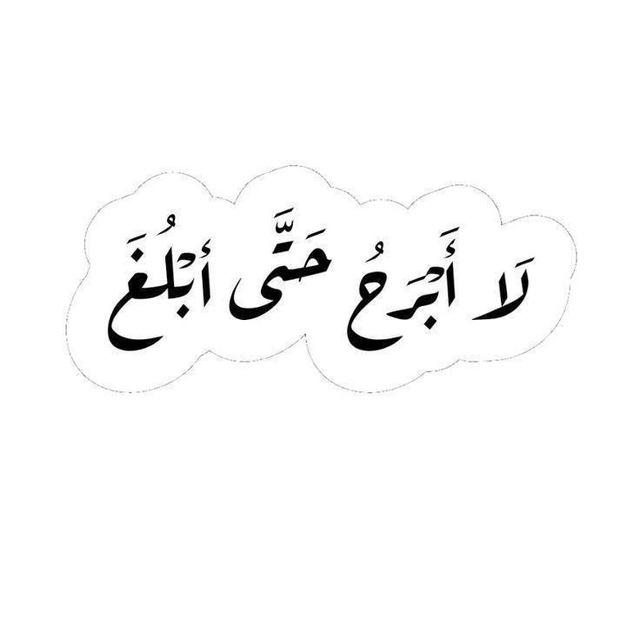 بين دفتي كتاب 📖