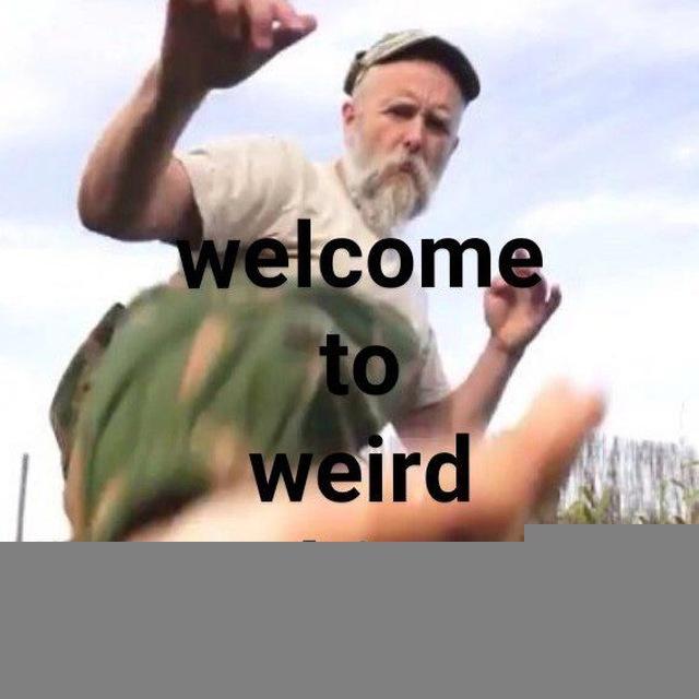 /welcome to my weird shittt