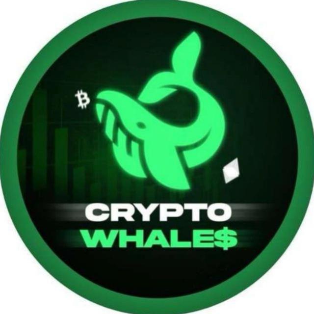 Crypto Whales Feedbacks