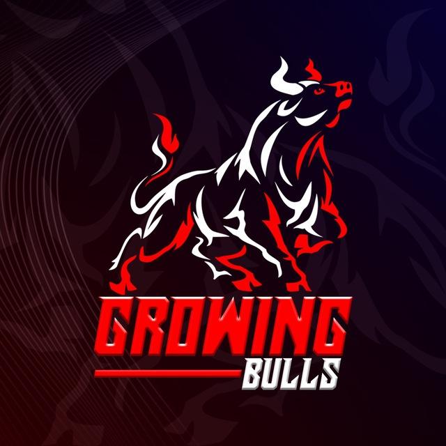 Growing Bulls