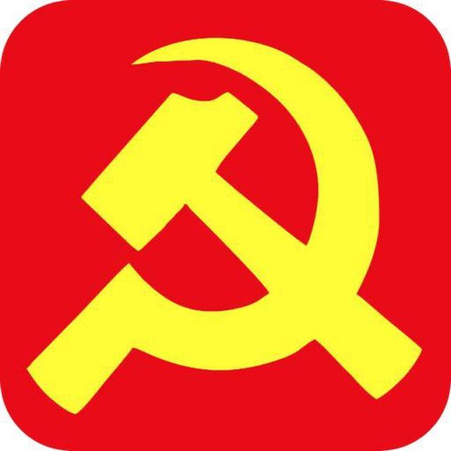 СССР в опросах