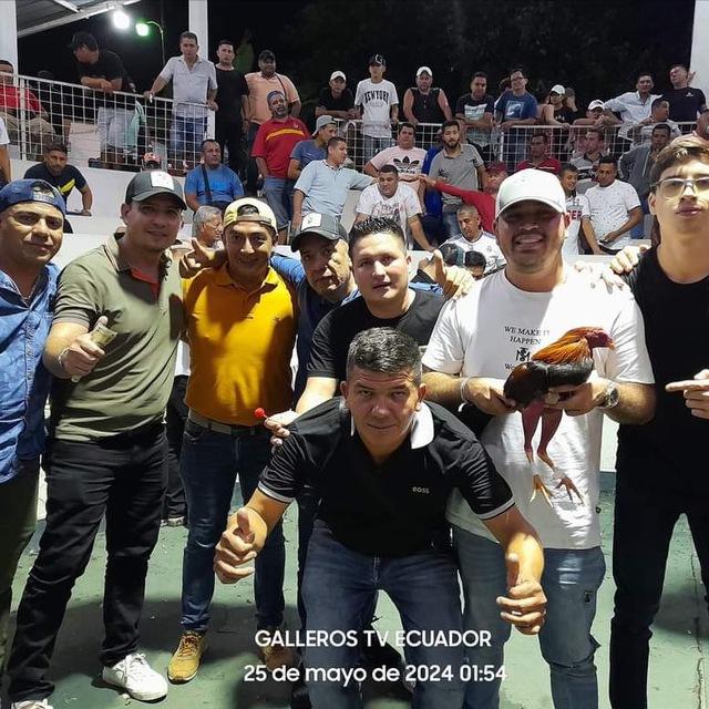 Gallos Gruber Alcivar🔥