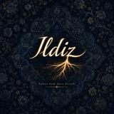 Ildiz