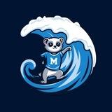 Tsunami Esports 🏄‍♂️