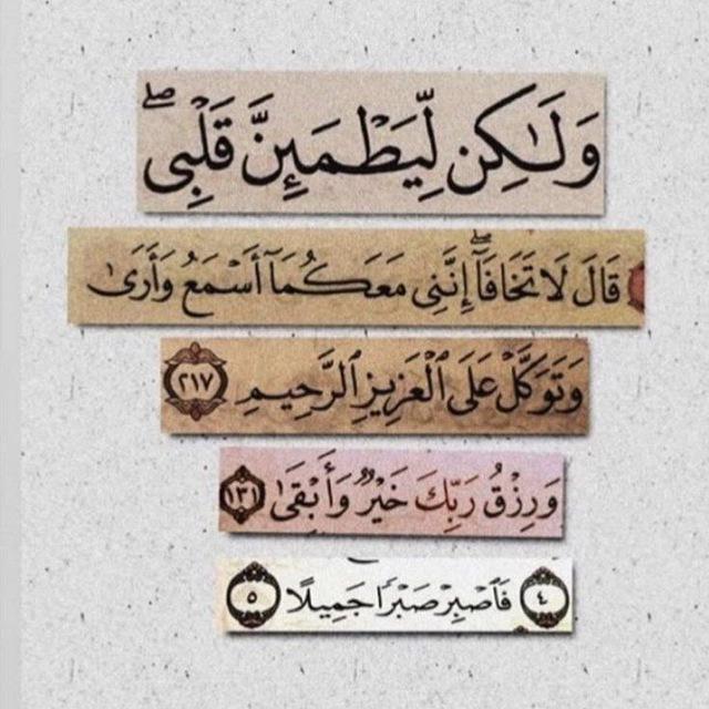 لِّيَطْمَئِنَّ قَلْبُكْ 🕊🤍