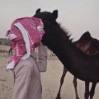 هوآجيـَـس ₉₁₂ . .