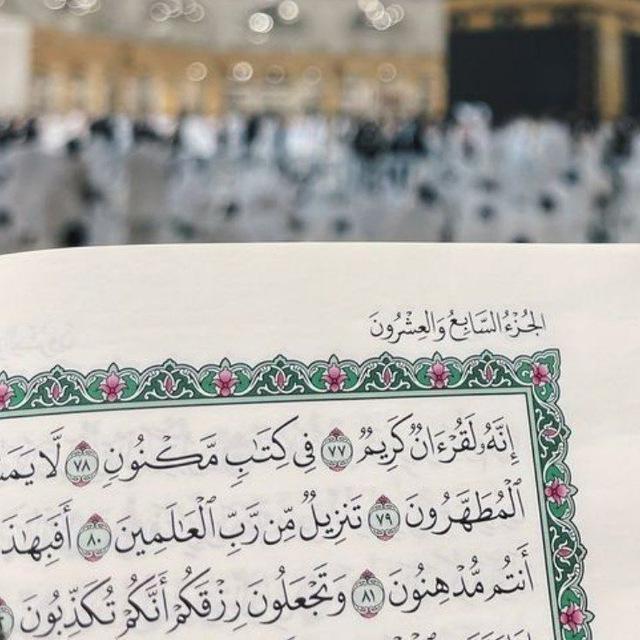 شغل اون لاين فرص عمل