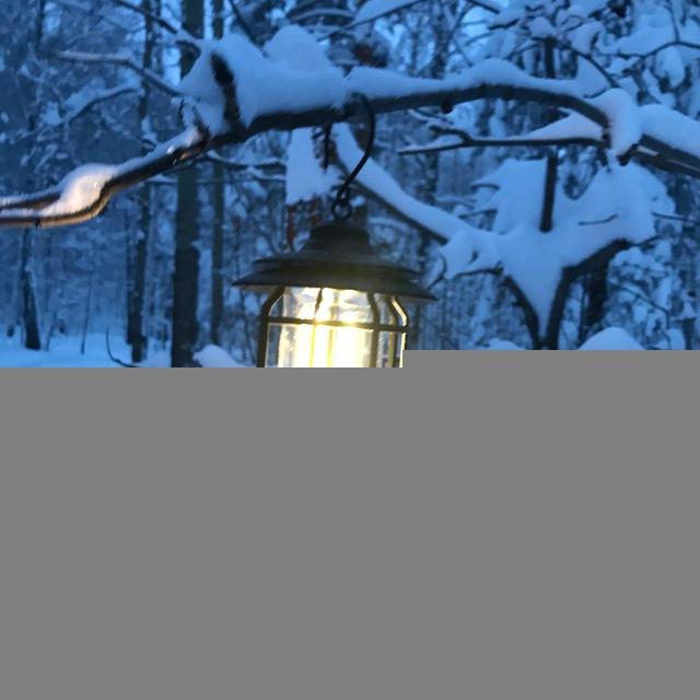 Реальные истории