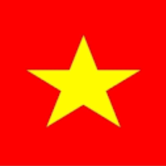 Vi Vu Hàng Ngày 🇻🇳