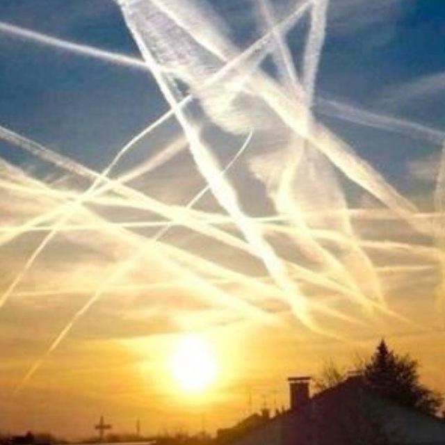 Nederland Wordt Wakker