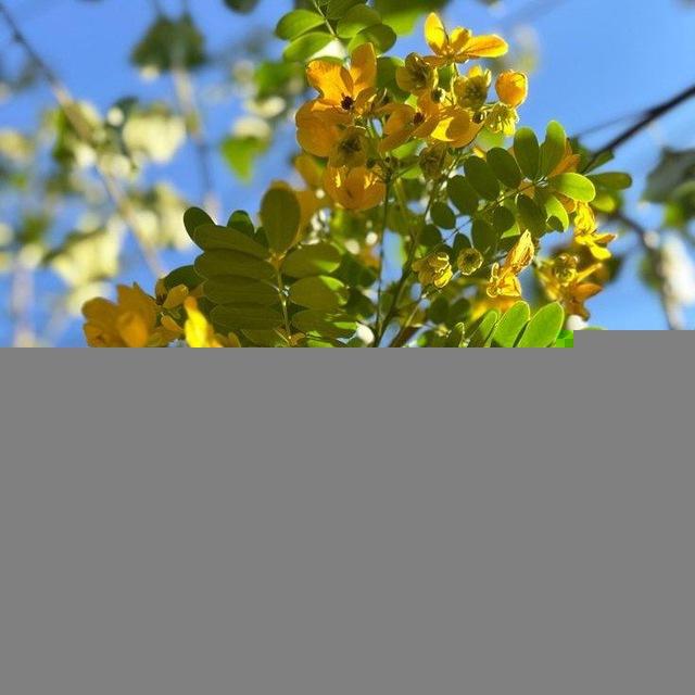 أمل💛🌼Hope