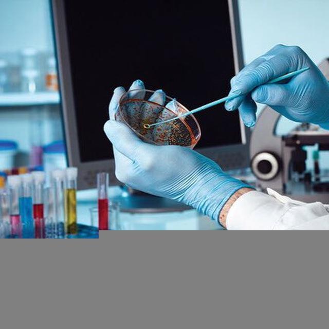 🔬كاريابي و كارآموزي آزمايشگاه🔬