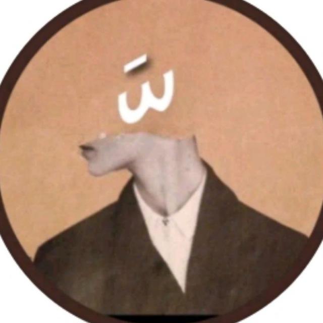 اقتباسات عراقية عميقه..!